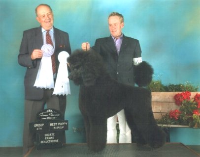 Click for photo enlargement